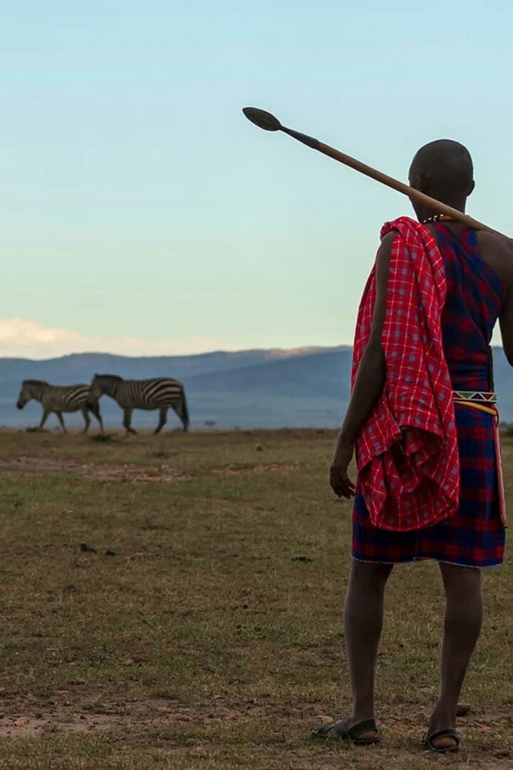 A man with a spear stands in a field, surrounded by zebras.